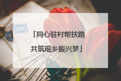同心驻村帮扶路 共筑瑶乡振兴梦