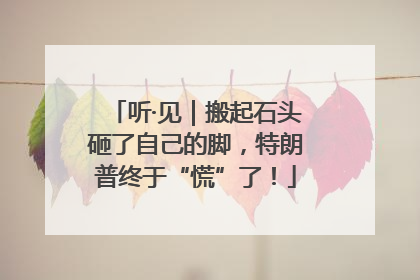 听·见｜搬起石头砸了自己的脚，特朗普终于“慌”了！