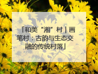和美“湘”村｜画笔村：古韵与生态交融的传统村落