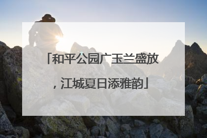 和平公园广玉兰盛放，江城夏日添雅韵
