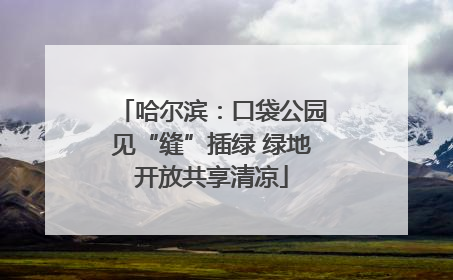 哈尔滨：口袋公园见“缝”插绿 绿地开放共享清凉