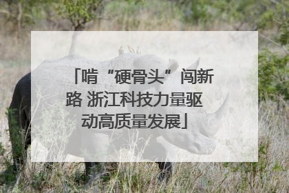 啃“硬骨头”闯新路 浙江科技力量驱动高质量发展