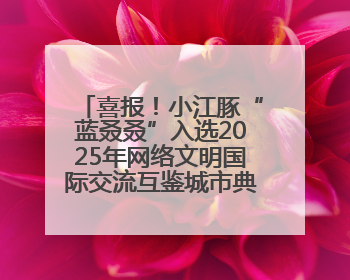 喜报！小江豚“蓝叒叒”入选2025年网络文明国际交流互鉴城市典型案例