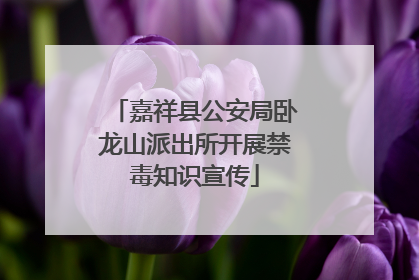 嘉祥县公安局卧龙山派出所开展禁毒知识宣传