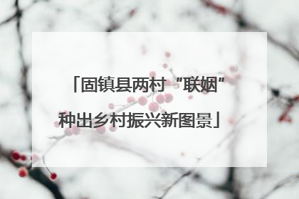 固镇县两村“联姻”种出乡村振兴新图景
