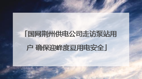 国网荆州供电公司走访泵站用户 确保迎峰度夏用电安全