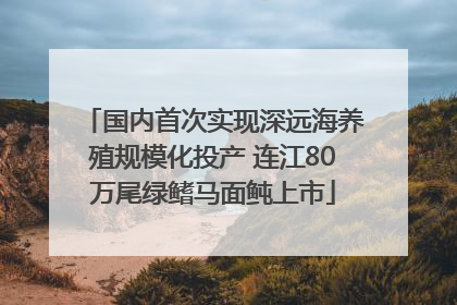国内首次实现深远海养殖规模化投产 连江80万尾绿鳍马面鲀上市