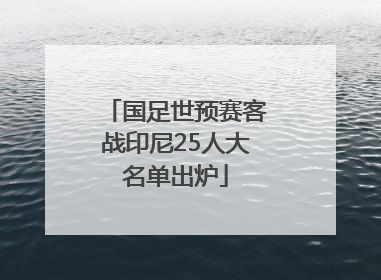 国足世预赛客战印尼25人大名单出炉