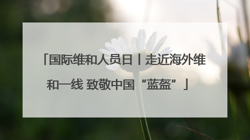 国际维和人员日丨走近海外维和一线 致敬中国“蓝盔”