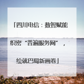 四川电信：数智赋能织密“普遍服务网”，绘就巴蜀新画卷