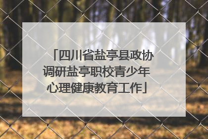 四川省盐亭县政协调研盐亭职校青少年心理健康教育工作