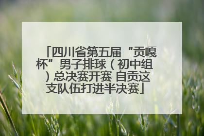 四川省第五届“贡嘎杯”男子排球（初中组）总决赛开赛 自贡这支队伍打进半决赛