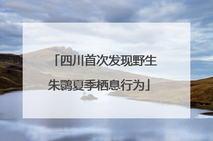 四川首次发现野生朱鹮夏季栖息行为
