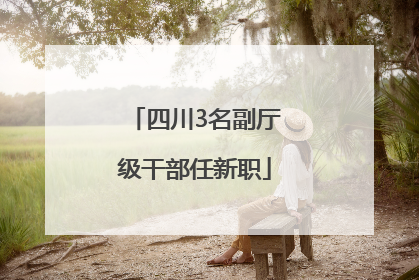 四川3名副厅级干部任新职