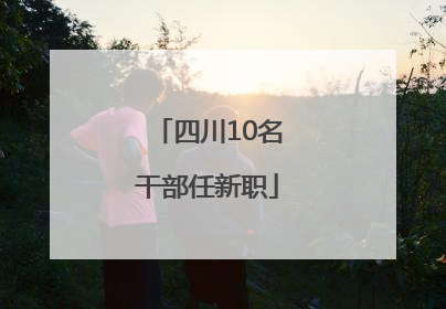 四川10名干部任新职