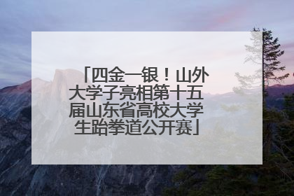四金一银！山外大学子亮相第十五届山东省高校大学生跆拳道公开赛