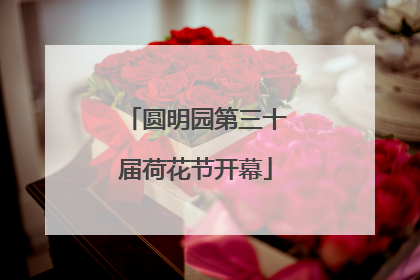 圆明园第三十届荷花节开幕