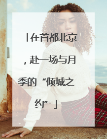 在首都北京，赴一场与月季的“倾城之约”