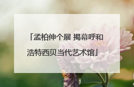 孟柏伸个展 揭幕呼和浩特西贝当代艺术馆