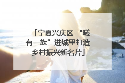 宁夏兴庆区 “曦有一族”进城里打造乡村振兴新名片
