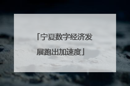 宁夏数字经济发展跑出加速度