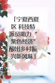 宁夏西夏区 科技特派员助力“紫色经济”酿出乡村振兴新风味