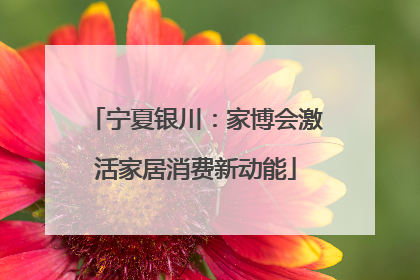 宁夏银川：家博会激活家居消费新动能