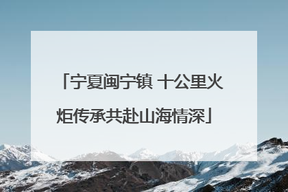 宁夏闽宁镇 十公里火炬传承共赴山海情深
