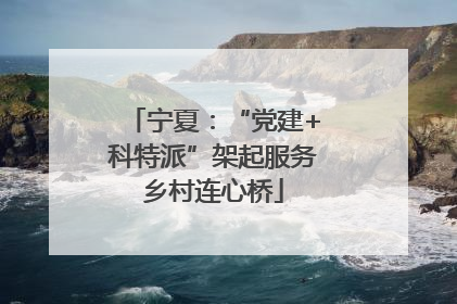 宁夏：“党建+科特派”架起服务乡村连心桥