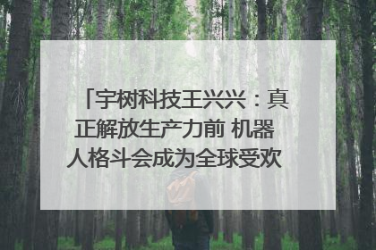宇树科技王兴兴：真正解放生产力前 机器人格斗会成为全球受欢迎的赛事｜科技观察