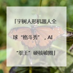 宇树人形机器人全球“格斗秀”，AI“拳王”硬核破圈