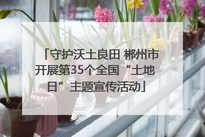 守护沃土良田 郴州市开展第35个全国“土地日”主题宣传活动