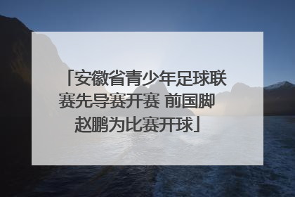 安徽省青少年足球联赛先导赛开赛 前国脚赵鹏为比赛开球