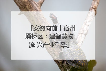 安徽向前丨宿州埇桥区：建智慧物流 兴产业引擎