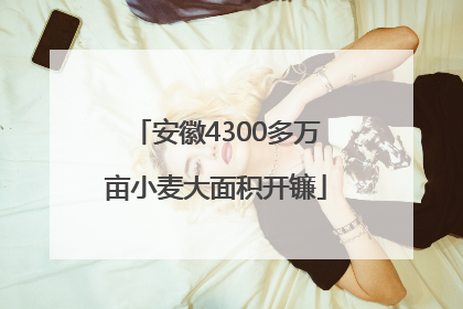 安徽4300多万亩小麦大面积开镰