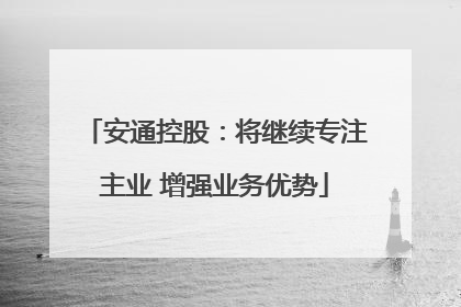 安通控股：将继续专注主业 增强业务优势