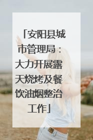 安阳县城市管理局：大力开展露天烧烤及餐饮油烟整治工作