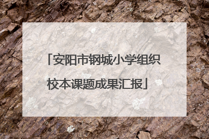 安阳市钢城小学组织校本课题成果汇报