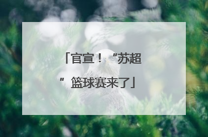 官宣！“苏超”篮球赛来了