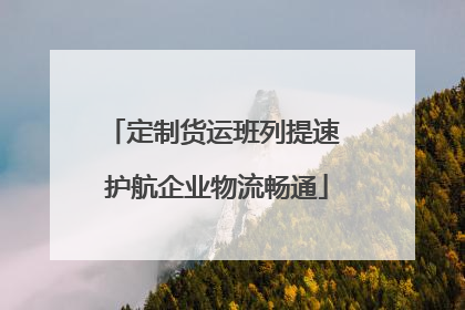 定制货运班列提速 护航企业物流畅通