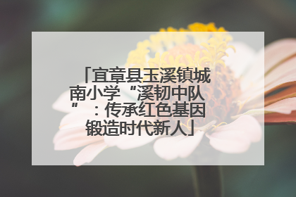 宜章县玉溪镇城南小学“溪韧中队”：传承红色基因 锻造时代新人