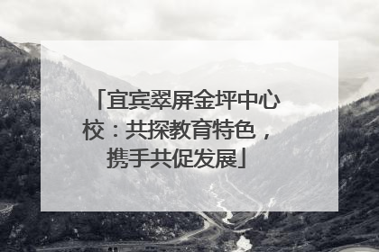 宜宾翠屏金坪中心校：共探教育特色，携手共促发展