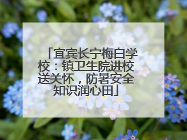 宜宾长宁梅白学校：镇卫生院进校送关怀，防暑安全知识润心田