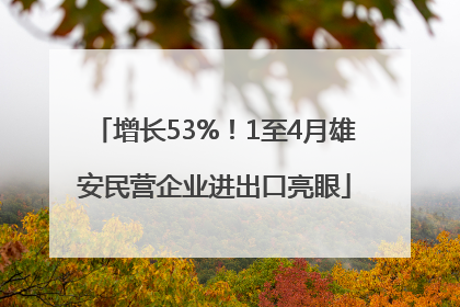 增长53%！1至4月雄安民营企业进出口亮眼
