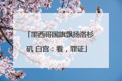 墨西哥国旗飘扬洛杉矶 白宫：看，罪证