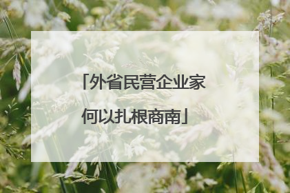外省民营企业家何以扎根商南