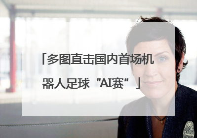 多图直击国内首场机器人足球“AI赛”