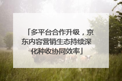 多平台合作升级，京东内容营销生态持续深化种收协同效率