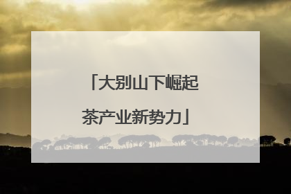 大别山下崛起茶产业新势力
