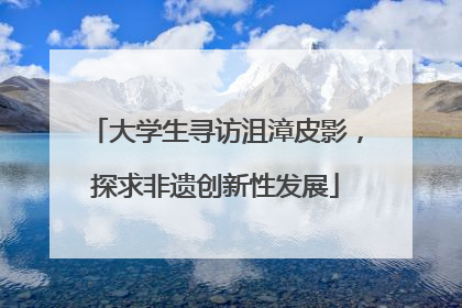 大学生寻访沮漳皮影，探求非遗创新性发展